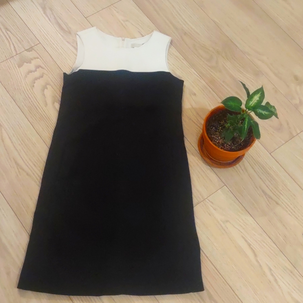 Max Mara dress Size 6 US